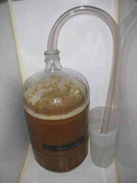 Carboy with Blowoff