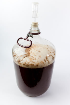 Valve unidirectionnelle Vent de fermentation Valve soupape de dioxyde de carbone daération Home Brew 