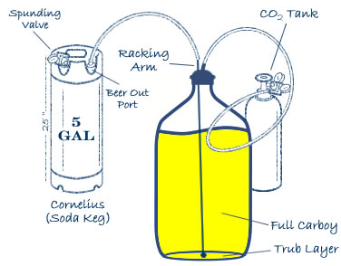 Closed Carboy to Keg Transfer System