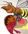 Cranberry Sting Recipe