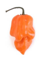 Habanero