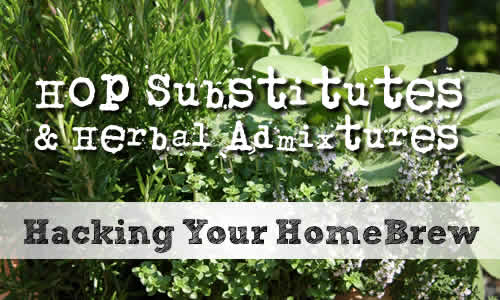 Hacking Your Home Brew: Hops Substitutes & Herbal Admixtures