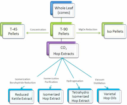 Hop Type Chart