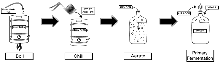 Boil, Chill, Aerate, Primary Fermentation