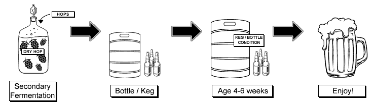 Secondary Fermentation, Bottle, Keg, Age, Enjoy