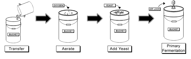 Transfer, Aerate, Yeast, Primary Fermentation