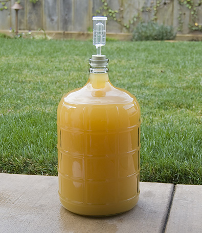 Mead in Carboy