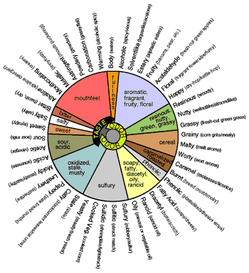 Flavor Wheel