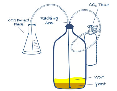 Yeast Harvesting Setup