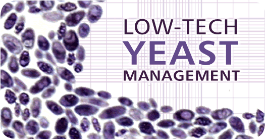 Low Tech Yeast Management for Homebrew