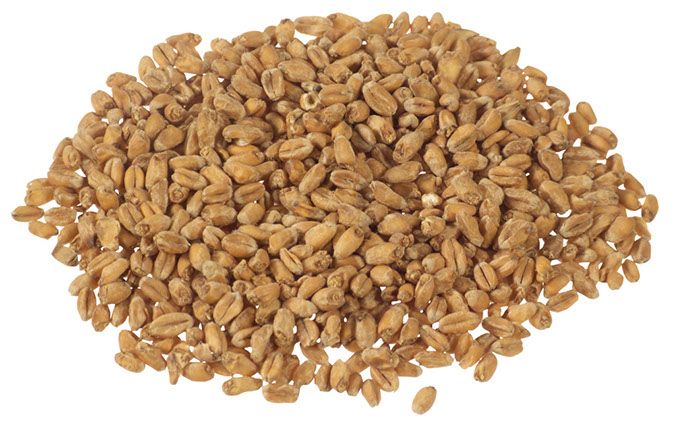 Oak Smoked Wheat 5 lb