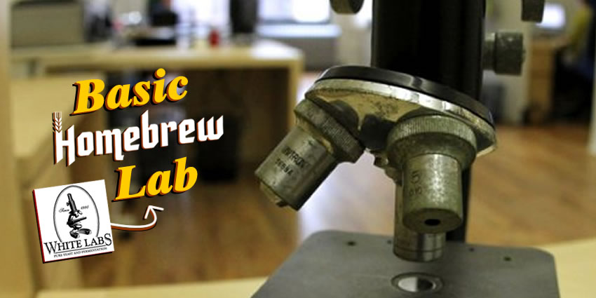 Basic Homebrew Lab