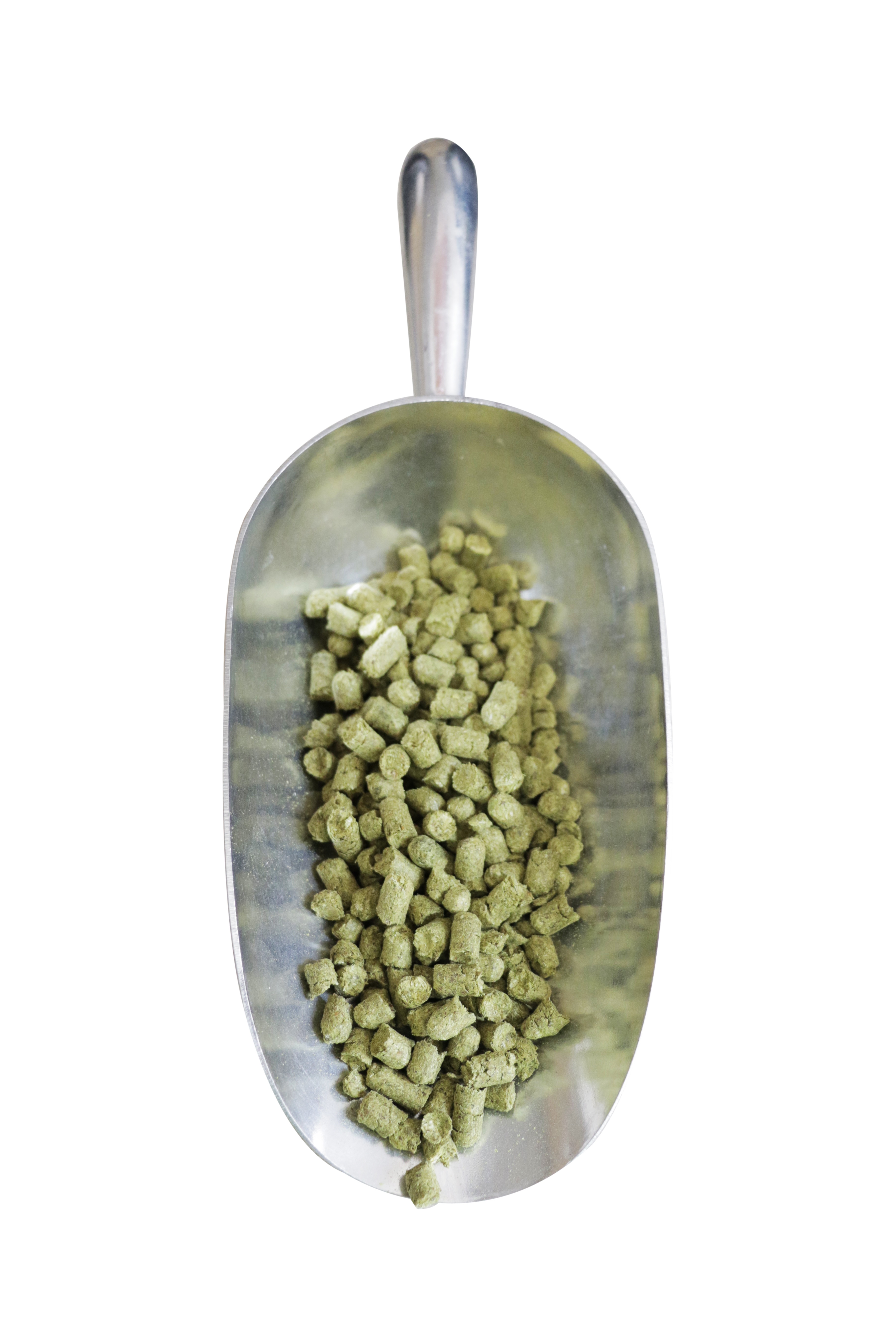 German Hallertau Mittelfruh Hop Pellets