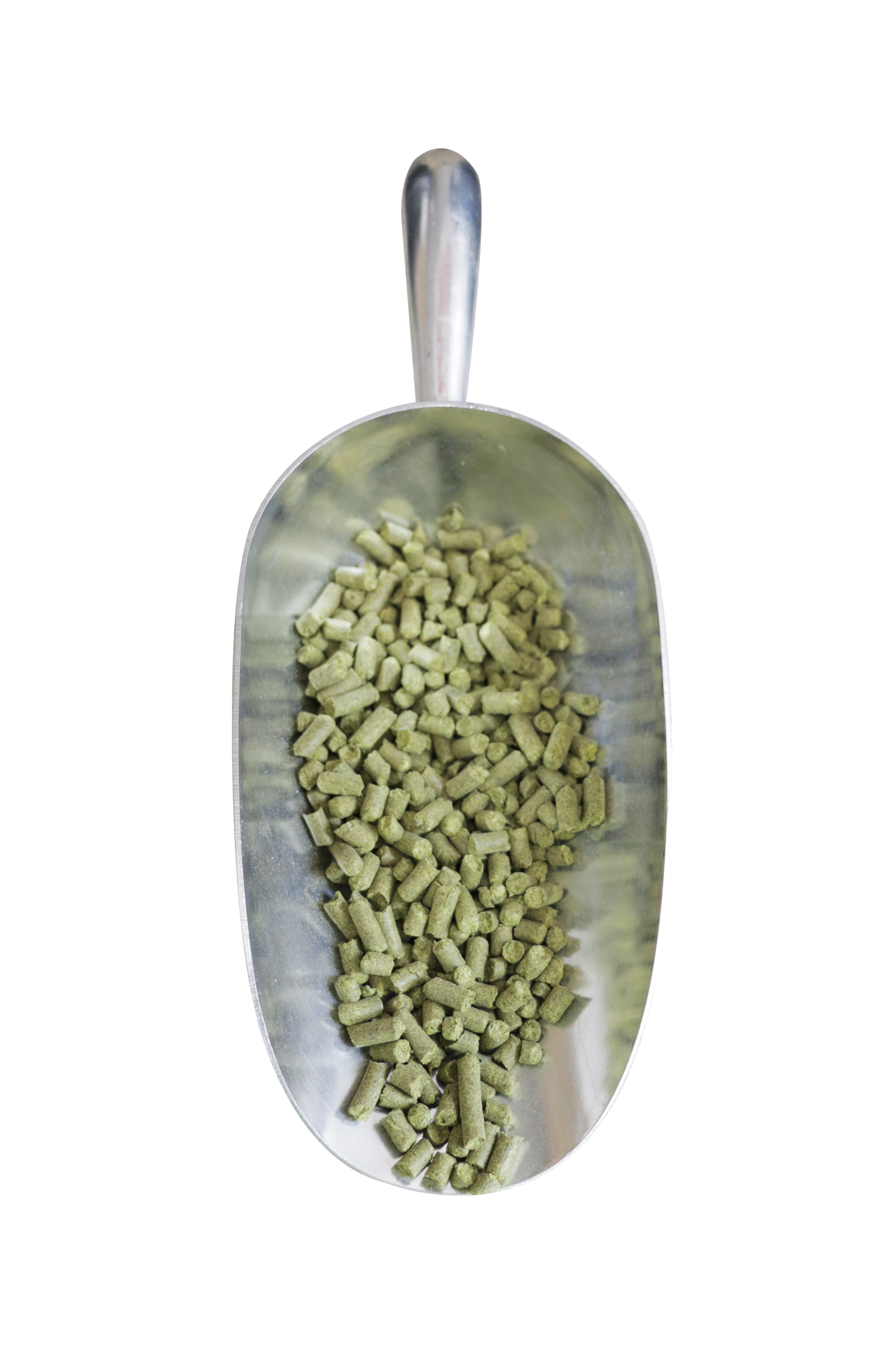 New Zealand Pacifica Hop Pellets
