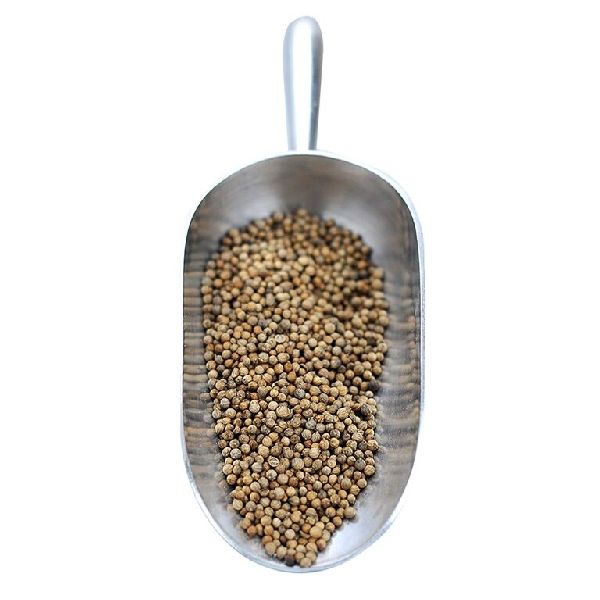 Whole Coriander Seed (1 Oz.)