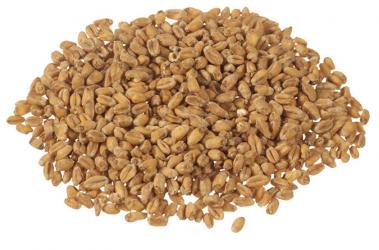 Oak Smoked Wheat 1 lb Milled